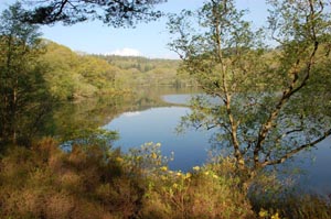 Llyn Mair